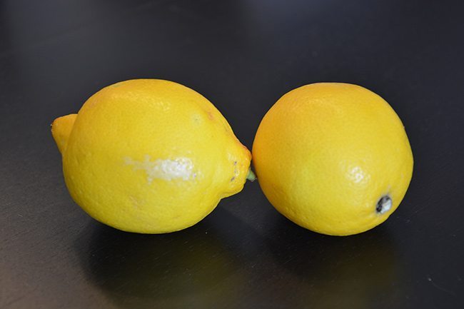 choose-subjects-canvas-art-yellow-lemons