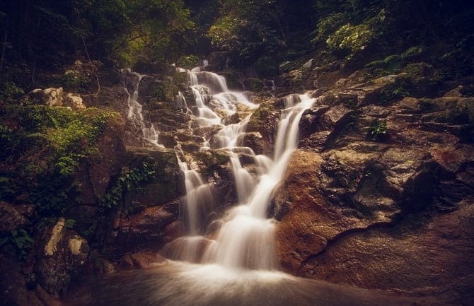 Nature Photos - Forest Waterfall