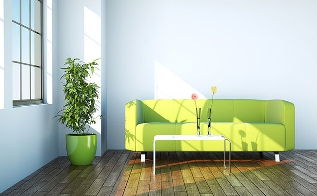 pursue-photography-canvas-prints-hobby-leaving-house-green-sofa