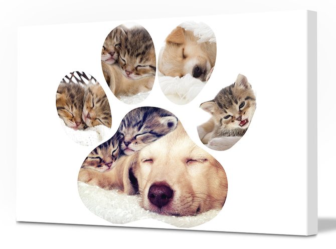 DIY Art - Pet Paw Print