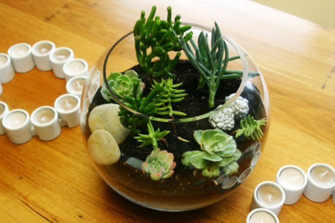 Diy Home Decor - Terrarium Garden