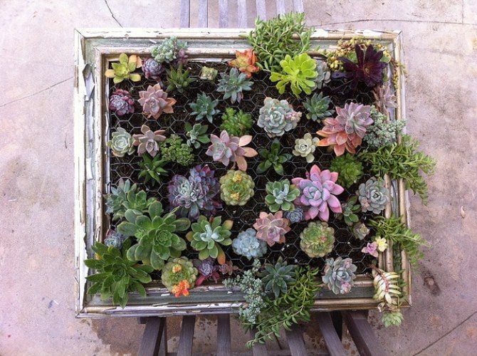 Diy Wall Art - Garden Wall Art