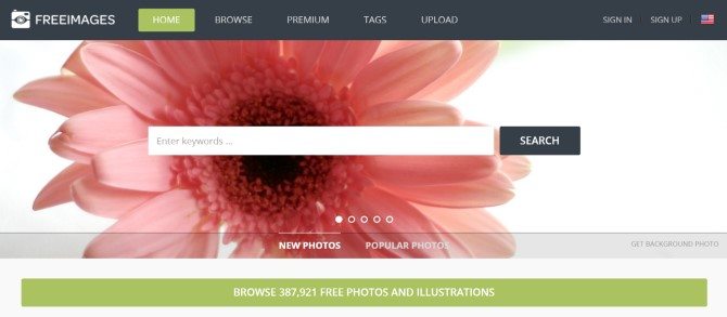 Free Digital Photos - Free Images