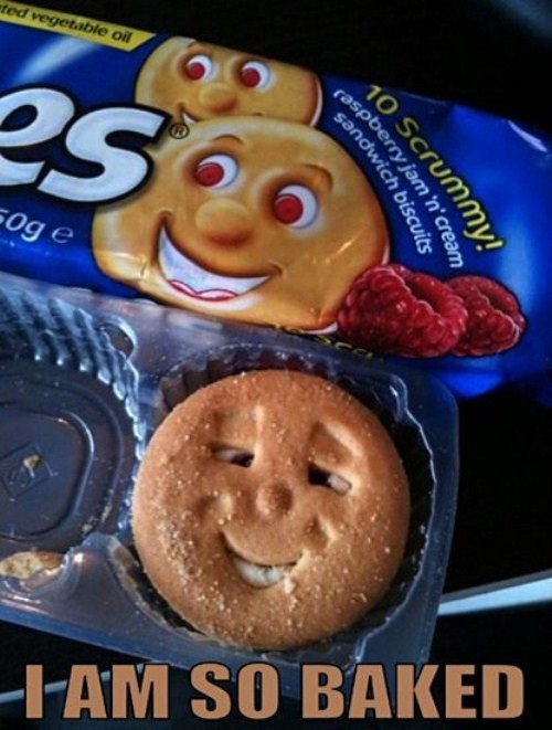 Funniest Photos - Baked