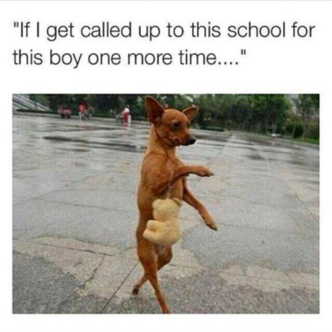 Funniest Photos - Parent Teacher Conference