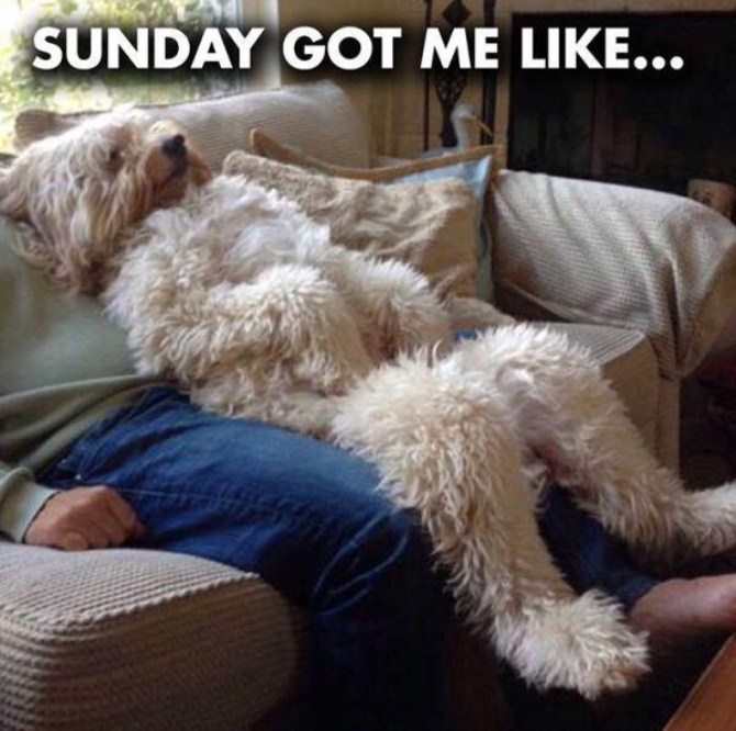 Funniest Photos - Sunday