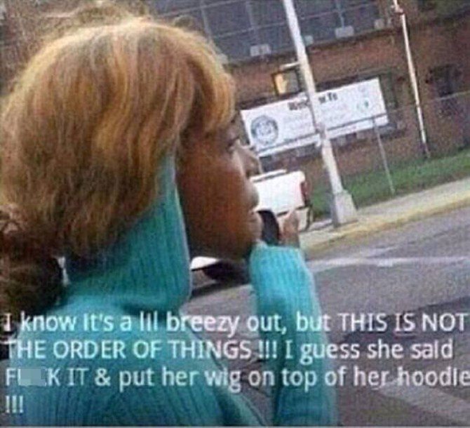 Funniest Photos - Wig