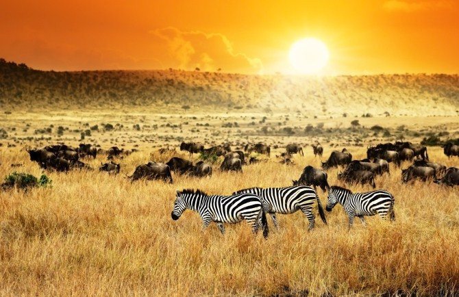 Honeymoon Destination - Kenya