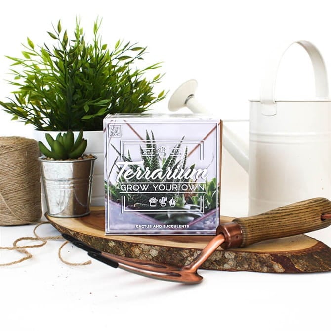 50th Birthday Gift Ideas - Grow Your Own Terrarium