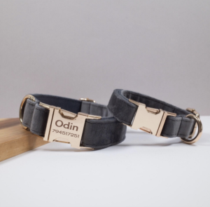 dog collar