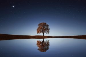 reflection lake tree photography