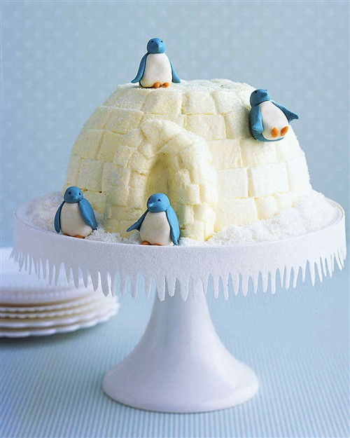 Boys Birthday Cakes - Igloo