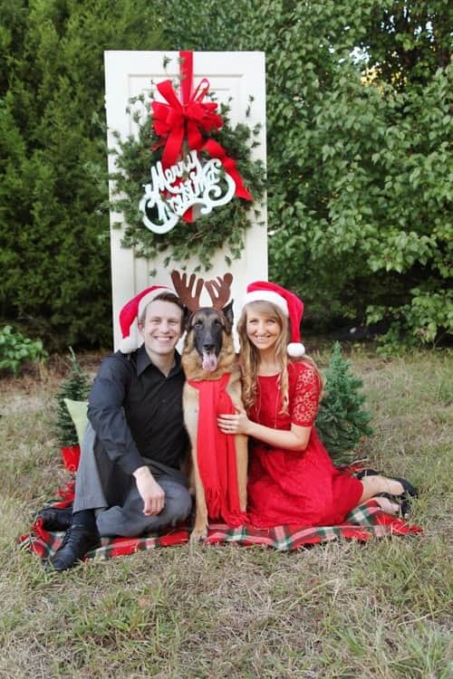 Christmas Photos - Portraits Outside With Dog