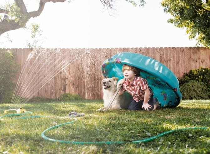 Dog Photography - Children