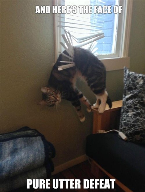 Funniest Photos - Help