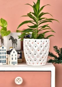 interior colour schemes