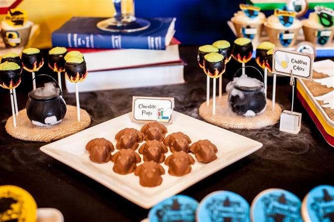 Kids Birthday Party Ideas - Harry Potter Inspired