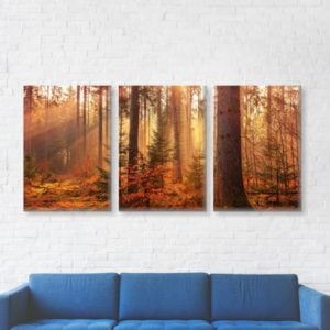 landscape split canvas