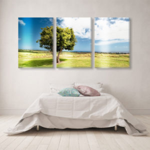 metal prints