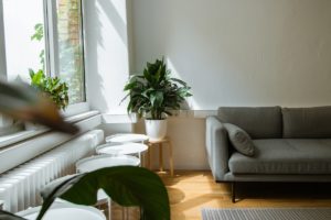 bright natural light