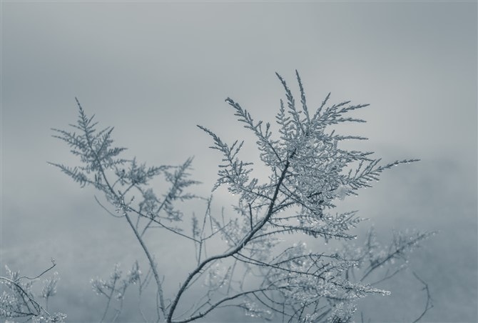 Natur Photos - Farm Winter