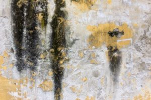 metallic wall art decor