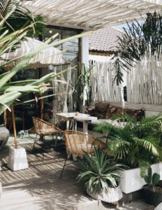 greenery outdoor oasis