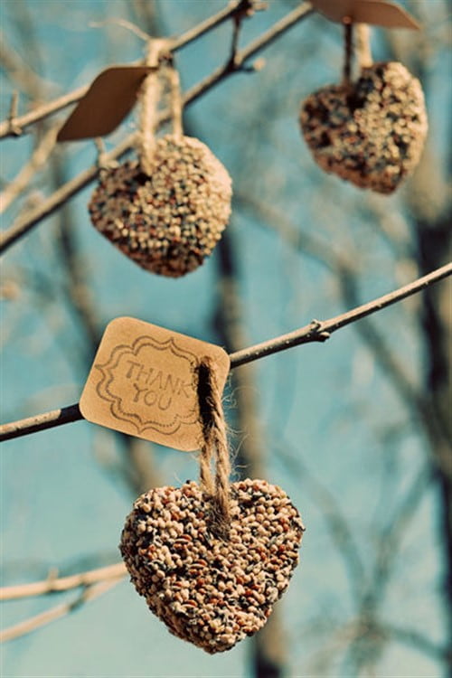 Unique Wedding Favour Ideas - Birdseed Hearts