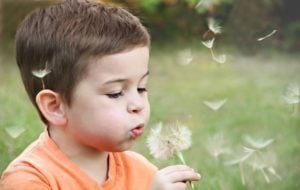 Boy blowing dandelion flower