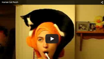 36 Funny Cat Videos To Brighten Your Day