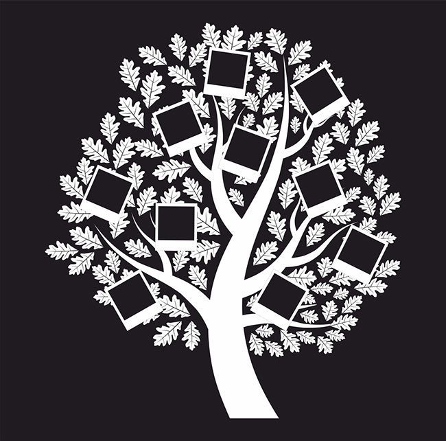 hot-trend-canvas-prints-and-bold-wall-graphics-family-tree