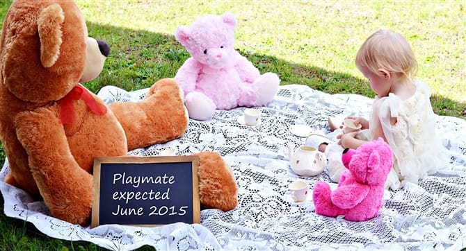 Pregnancy Announcement Ideas - Playmate Expected