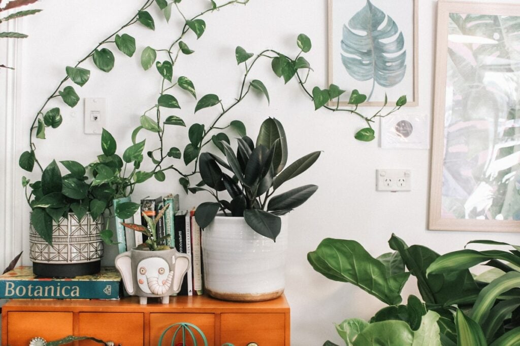 ideas for wall art plants