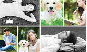 make a collage with mixed colors