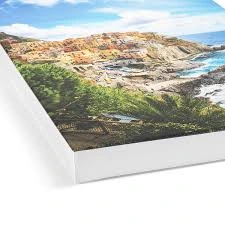 Canvas