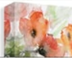 Gallery Canvas Wrap