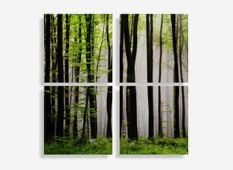 Metal Photo Prints - Split - (4) 20" x 20"
