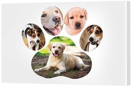 30th birthday gift ideas - Paw Print