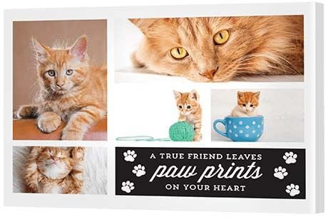 Photo Collage Ideas - Paw Themed Print