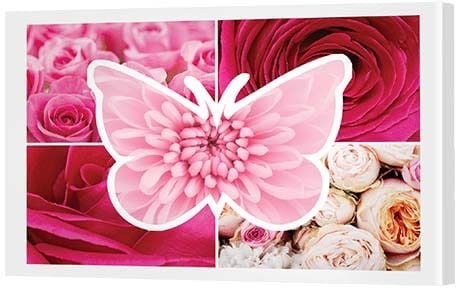 Valentines Gifts - Butterfly Canvas