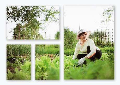 70th Birthday Gift Ideas - Split Image Canvas