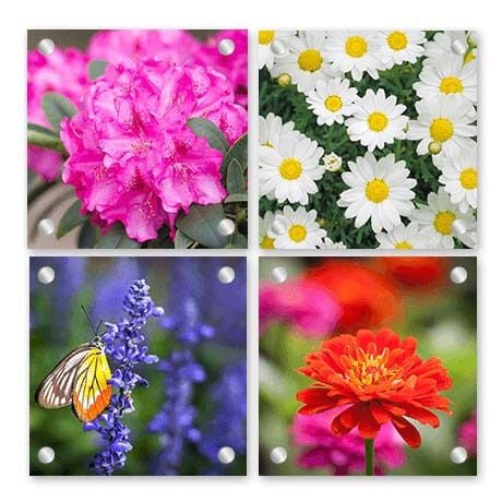 Acrylic Glass Prints - Wall Display