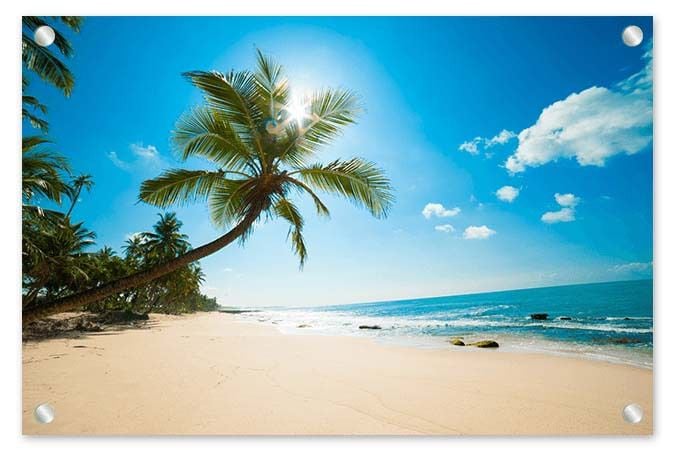 8 Remarkable Reasons To Choose Acrylic Glass Prints