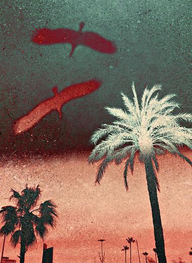 Thumbnail for original image