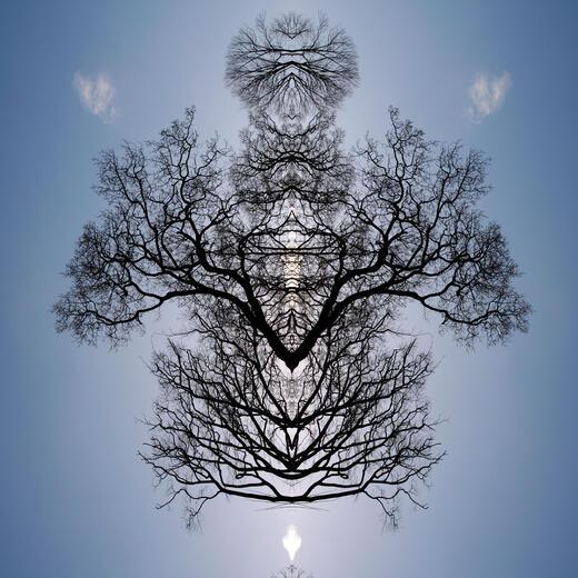 Thumbnail for original image