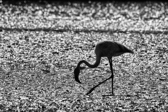 Thumbnail for original image