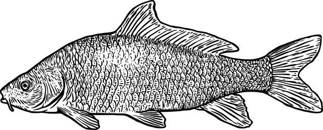 Thumbnail for original image