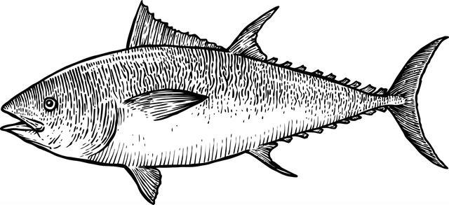 Thumbnail for original image