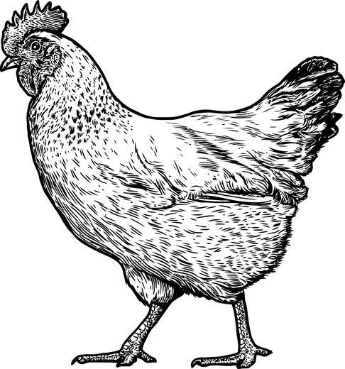 Thumbnail for original image