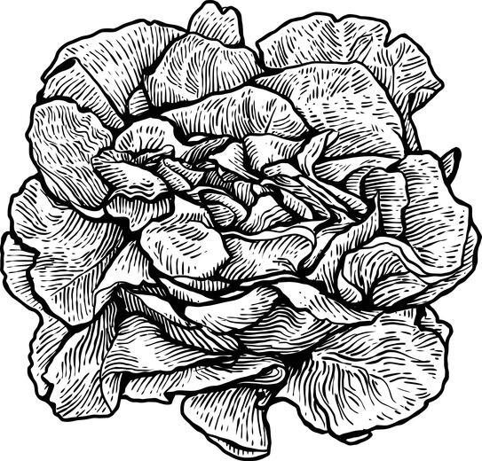Thumbnail for original image